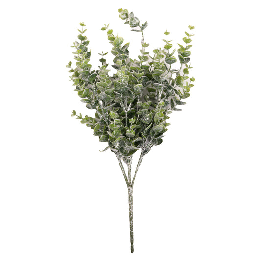 Frosted Eucalyptus Sprig