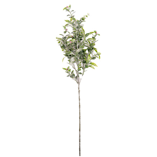 Winter Eucalyptus Sprig